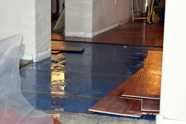 Professional Water Damage Restoration technician working in Greenfield, NH